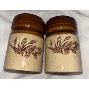 Vtg 1970s Royal Worcester Pepper Pot Evesham Pattern Salt & Pepper Shakers